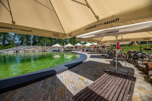 Hotel Allvet