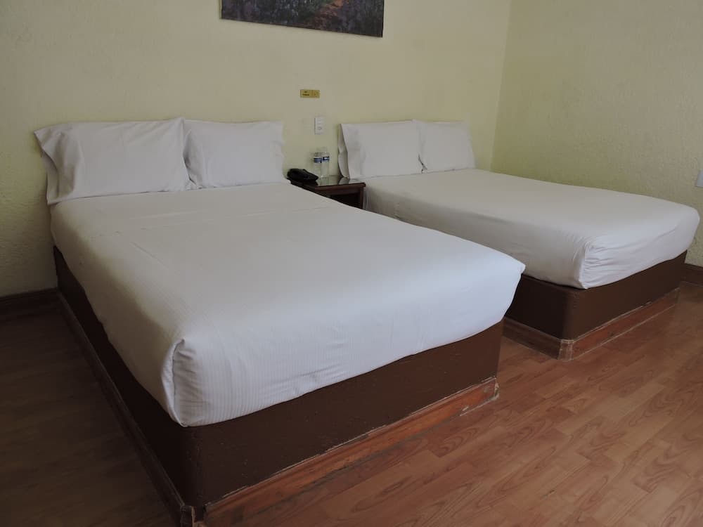 Hotel Capri de León México