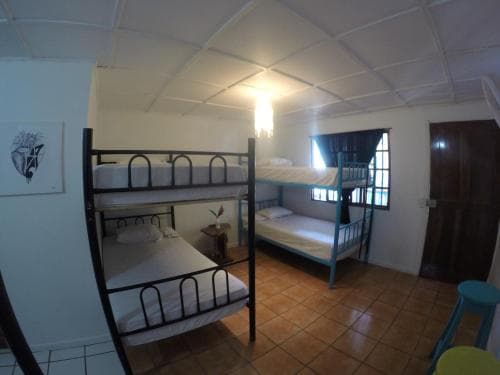 Beds On Bohio