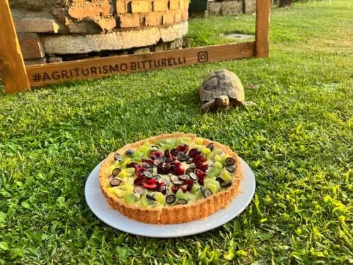 Agriturismo Bitturelli