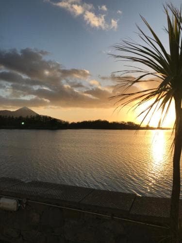 The Quays