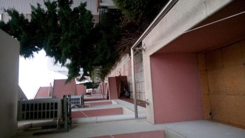 A serene urban alleyway lined with pink walls, greenery, and gated entrances evokes a quiet residential mood, ideal for travelers seeking peaceful city exploration.