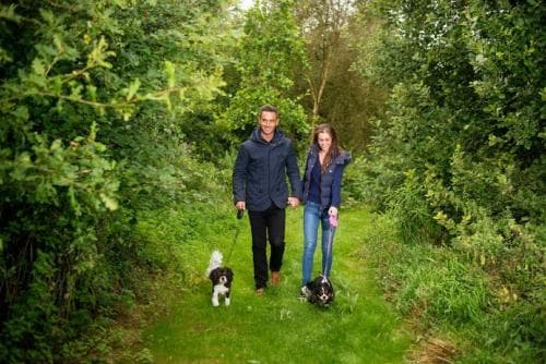 Willow Lodges