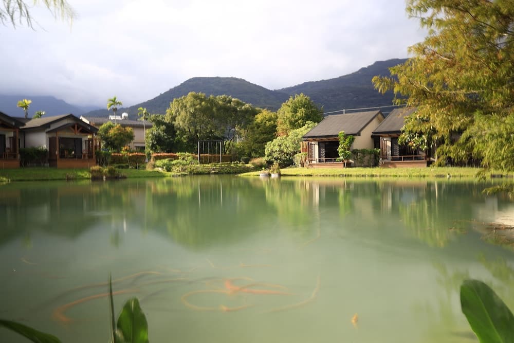 Goldenpaddy B&B