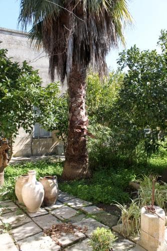 Leccelso Bed And Breakfast