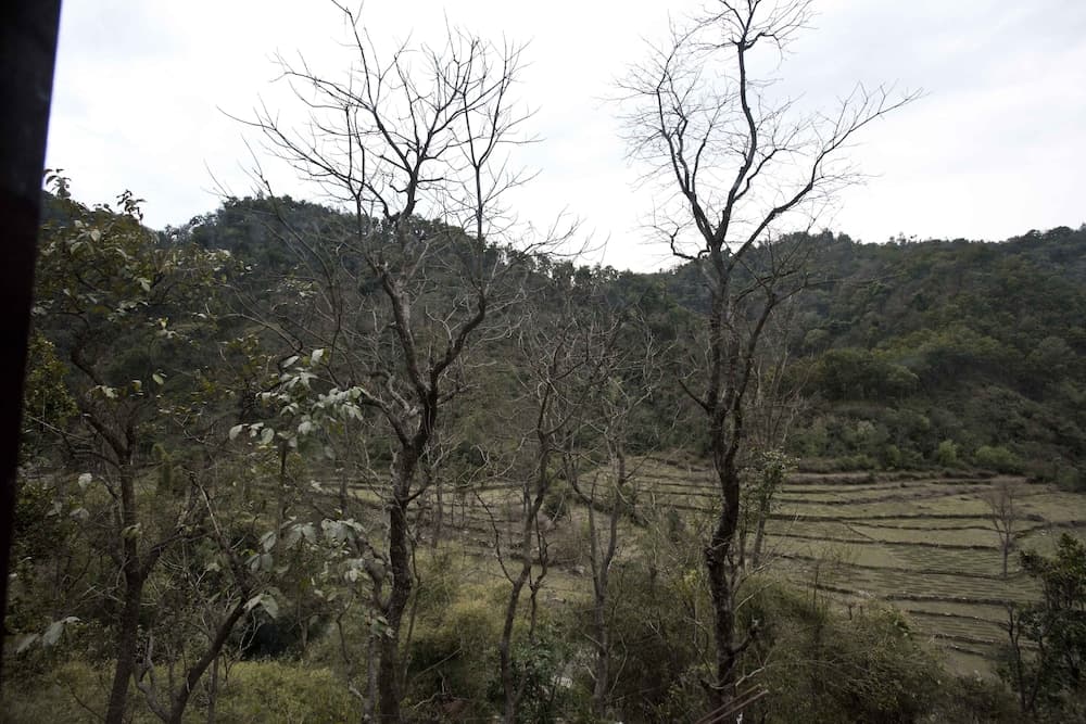 Corbett Riviera