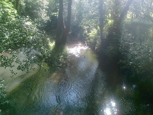 Pension Cangas De Onis
