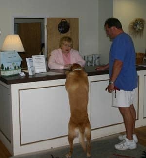 Dune Crest Hotel