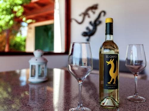 A serene outdoor patio setting features a bottle of El Grifo wine with two glasses on a polished table, complemented by a decorative lantern and lizard art, ideal for a relaxing travel experience in a warm, inviting atmosphere.