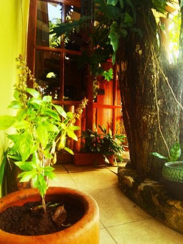 El Roble Hotel
