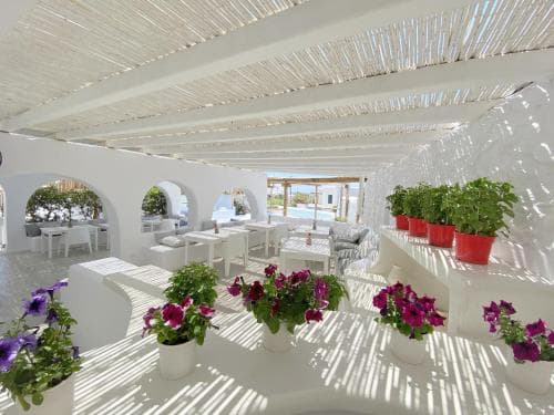 Apsenti couples only Mykonos