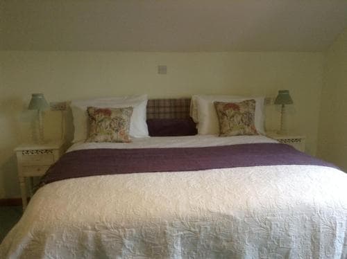 A cozy bedroom with a neatly made bed adorned with floral pillows and a purple throw, flanked by two bedside tables with lamps, ideal for a relaxing getaway.