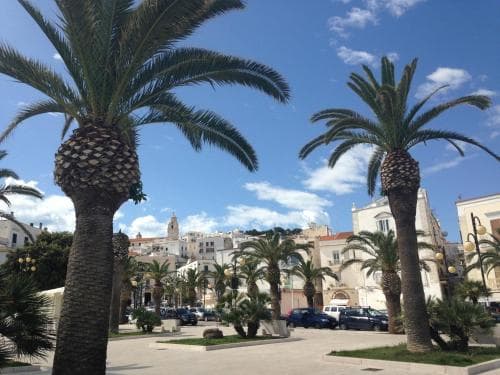 B&B Marina Piccola
