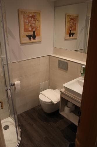 "Blauer Bock" - Hotel-Garni