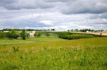 Springdale Inn