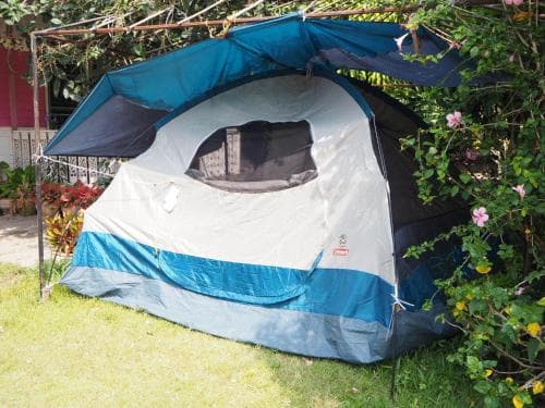 A cozy blue and white tent nestled in a lush garden setting offers a serene camping experience amidst vibrant greenery and blooming flowers, perfect for outdoor enthusiasts seeking a tranquil retreat.