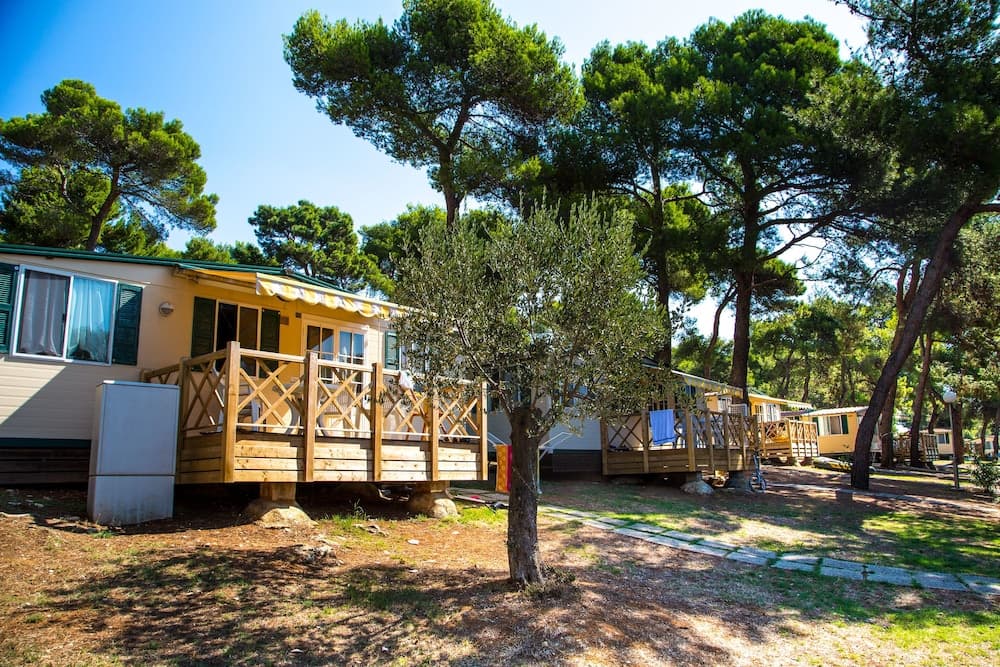 Camping Arena Indije