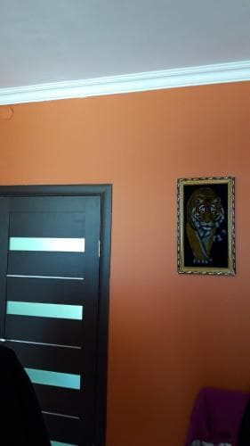 Hostel infiniti