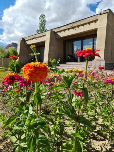 Ladakh Eco Resort