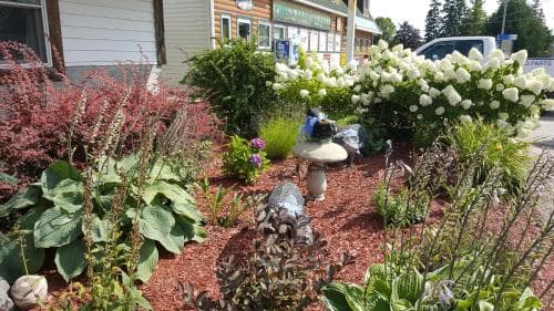 Bear Cove Inn