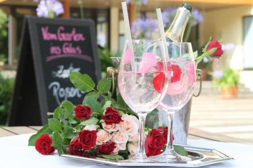Elbhotel Bad Schandau