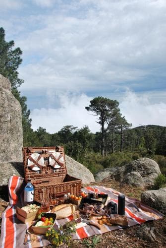 A serene mountain picnic setup with a wicker basket, colorful blanket, and fresh food amidst rocky terrain and pine trees under a partly cloudy sky, ideal for adventure seekers looking for tranquil outdoor dining experiences.