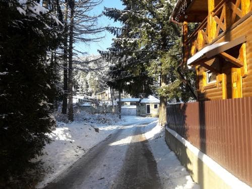 A serene winter scene features a snow-lined road beside a rustic wooden cabin, surrounded by evergreen trees, ideal for a cozy getaway in a tranquil forest setting.