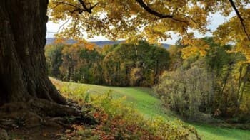 Journey Inn Bed & Breakfast