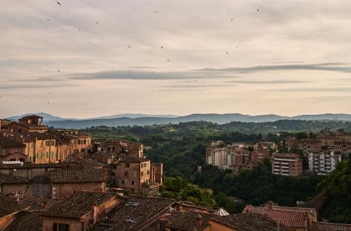 I Terzi di Siena