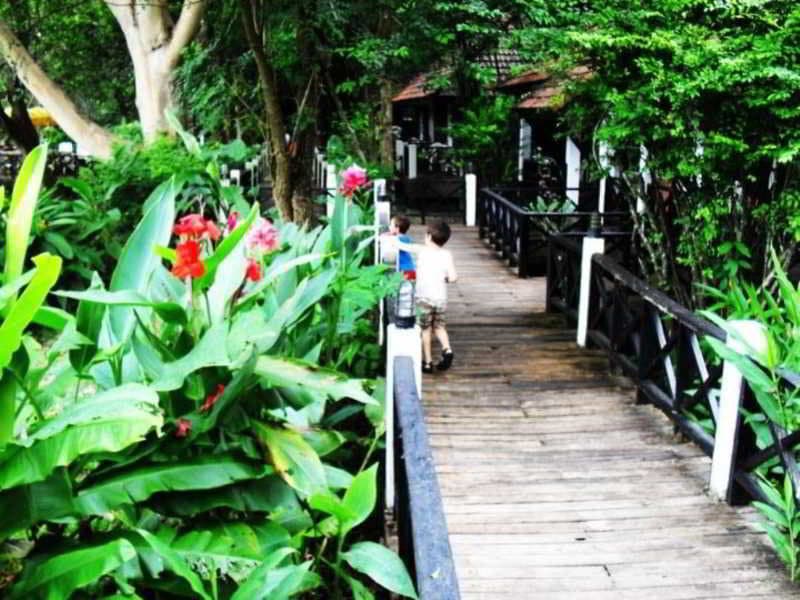 Thaton River View