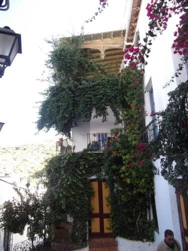 Pension El Torreon