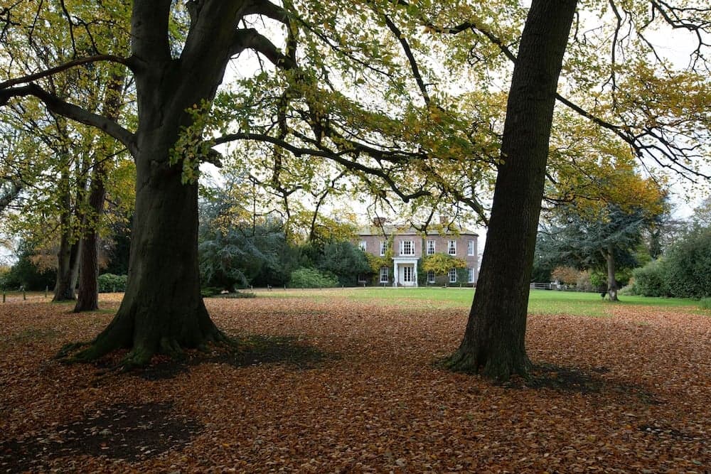 A serene autumn scene features a grand white house framed by towering trees with golden leaves scattered across the lawn, ideal for tranquil countryside retreats.