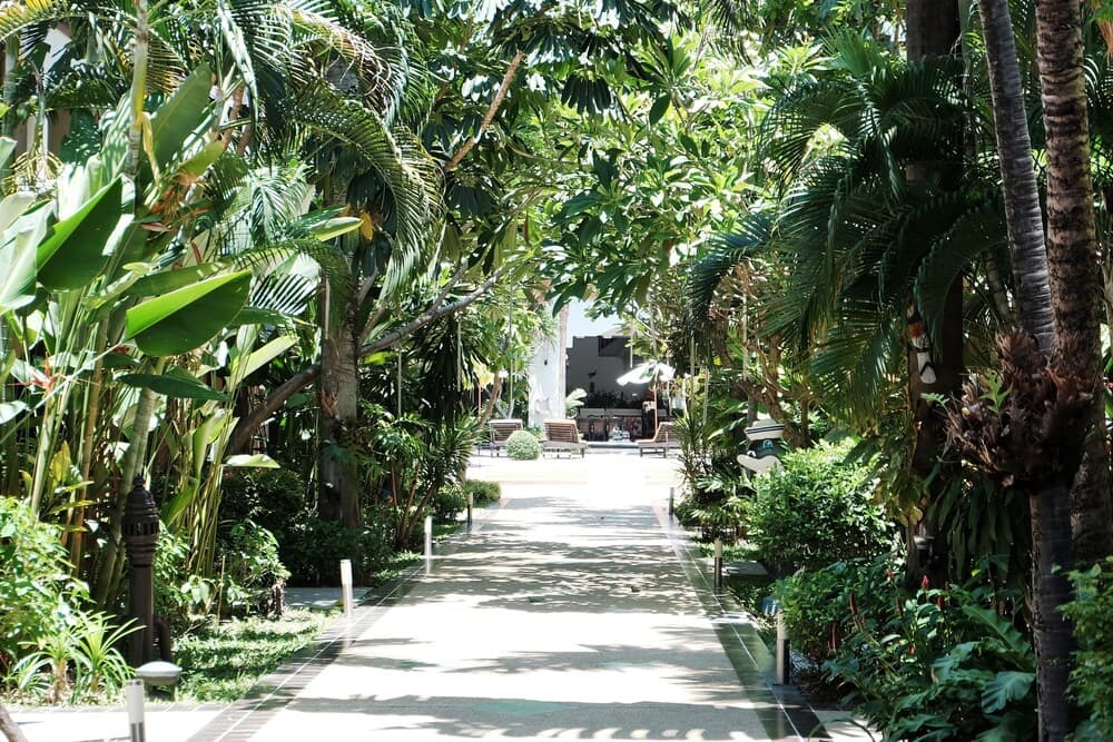 Splendid Resort @ Jomtien