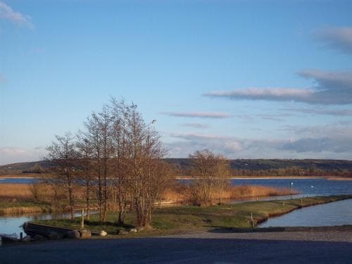 The Silver Eel