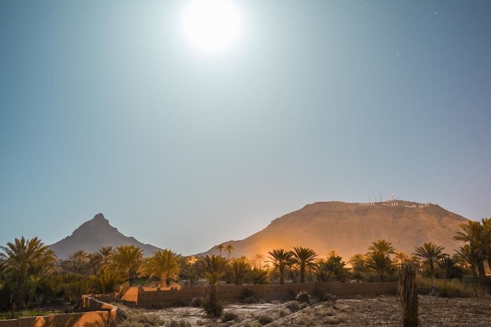 A serene desert oasis with lush palm trees and rugged mountains bathed in golden sunlight offers an ideal backdrop for adventure seekers exploring arid landscapes.