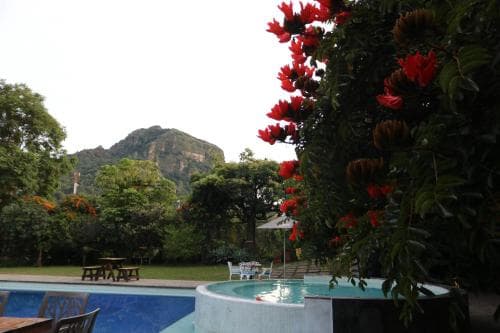 A serene tropical resort features lush greenery, vibrant red flowers, and a tranquil pool overlooking a distant hill, ideal for relaxation and nature-inspired getaways.