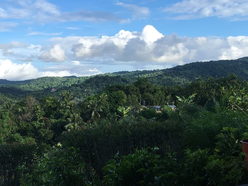 Treetops Villa