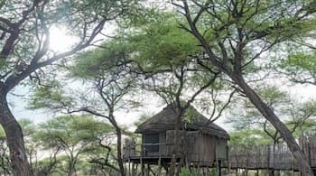 Onguma Bush Camp