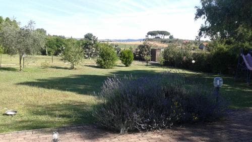 B&B Rolu