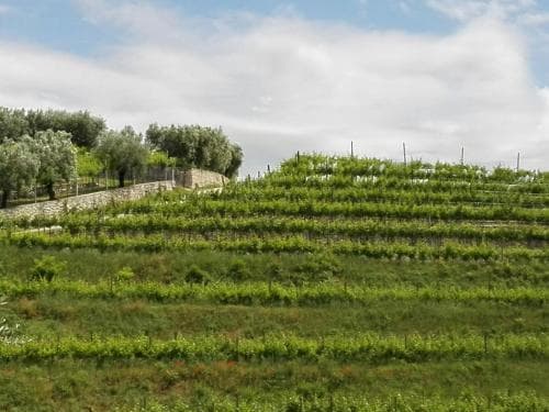 B&B Corte Giare