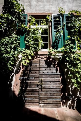 A charming European courtyard features a rustic wooden gate adorned with lush green vines, evoking a serene and picturesque atmosphere ideal for travelers seeking quaint architectural beauty.