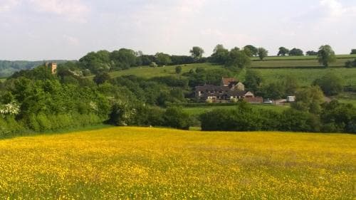 Cameley Lodge