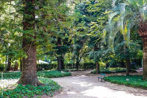 Quinta Das Lagrimas