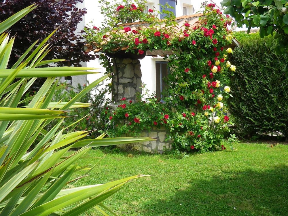 Eglantine Et Chevrefeuille
