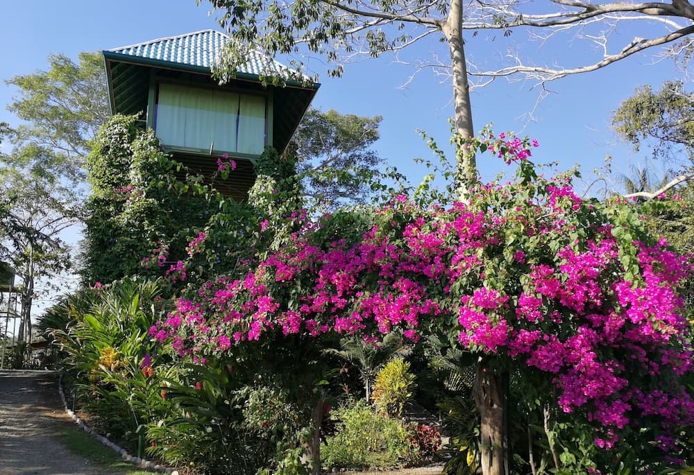 Anamaya Resort