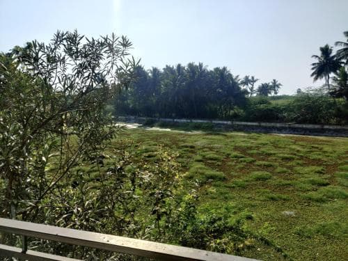 Living edge residency