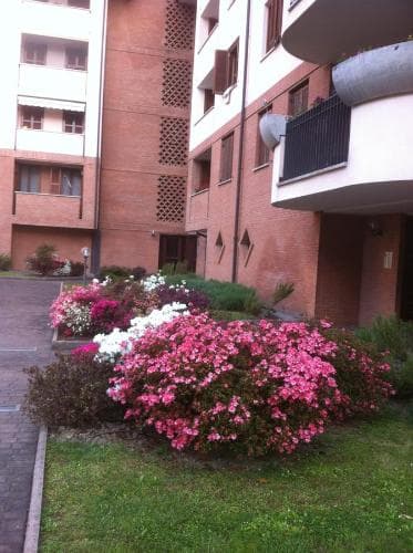 B&B Independente