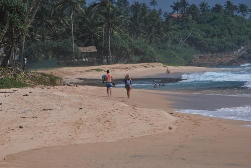 Dew Surf Camp