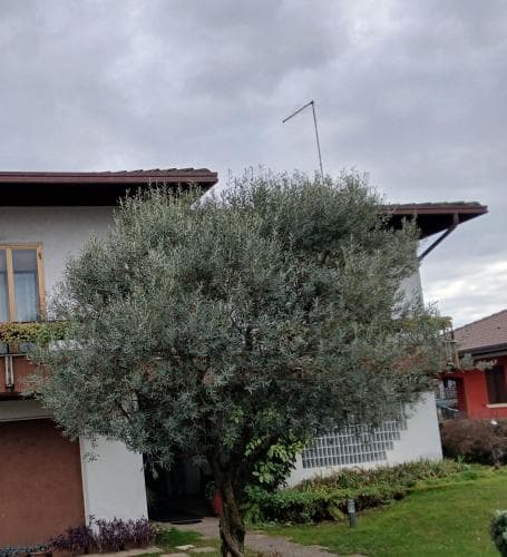 B&B Ponte Marchese
