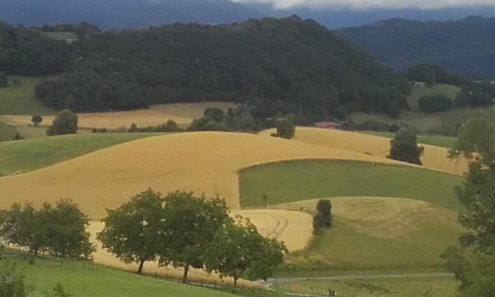 La Bôn'Source Chambre d' Hôtes